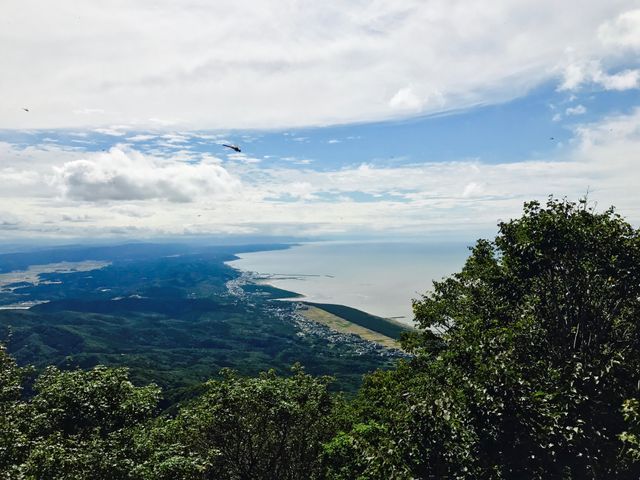 Scenic coastal landscape viewed from forested mountain summit against cloudy sky. Ideal for nature, travel, adventure, and outdoor-related uses in promoting travel destinations, nature conservation, and outdoor activities.