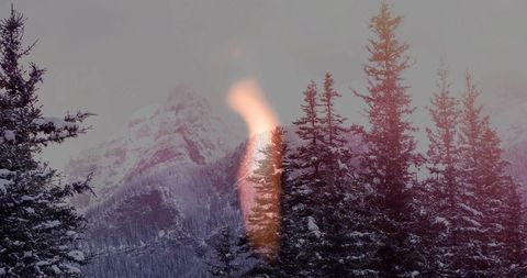 Snowy alpine forest showing misty mountain and warm orange reflection