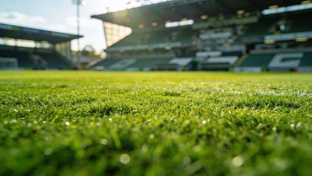 Sunlit stadium turf sparkling with morning dew, close-up shallow depth of field