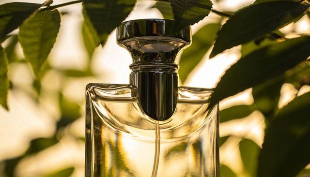 Backlit glass perfume bottle glowing in golden hour with green leaves and chrome nozzle