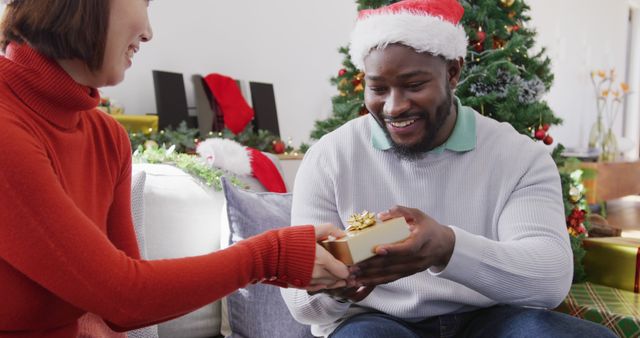 Image of happy diverse couple in santa hats exchanging christmas gift and embracing at home. Christmas, celebration, tradition, happiness and inclusivity concept.