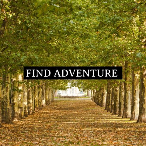 inviting tree-lined pathway encouraging adventure - Download Free Stock Templates Pikwizard.com