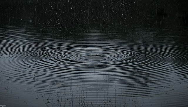 Concentric ripples on rain-dimpled pond surface at low light, dark reflective water texture
