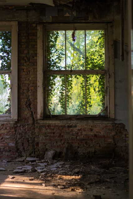 Sunlight is streaming through ivy-covered window in an abandoned building, illustrating nature's reclamation and the contrast between natural growth and urban decay. This image could be used for themes related to nature reclaiming spaces, urban exploration, nostalgia, or decay. It highlights the solitary beauty of natural light filtering through an overgrown environment, suitable for use in environmental awareness campaigns, artistic projects, or blogs about abandoned places and nature.
