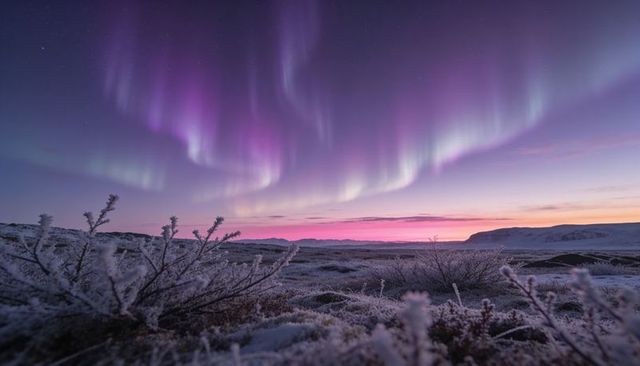 Magenta purple aurora borealis dancing over frosted arctic tundra at twilight, hoarfrost shimmering