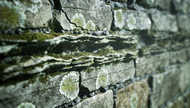 Weathered slate garden wall with lichen and moss closeup, layered textured masonry