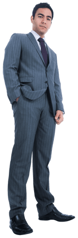 confident businessman posing in grey suit png - Download Free Stock Videos Pikwizard.com