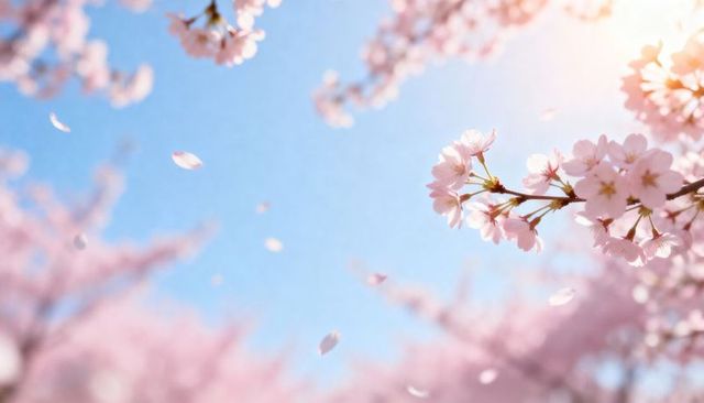 Sunlit Cherry Blossom Branch with Falling Petals Against Clear Blue Spring Sky