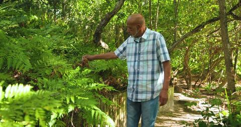 Senior Man Enjoying Serene Walk on Sunlit Forest Trail