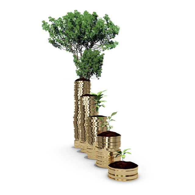 Golden Coin Stacks with Growing Trees PNG Illustration on Transparent Background - Download Free Stock Videos Pikwizard.com