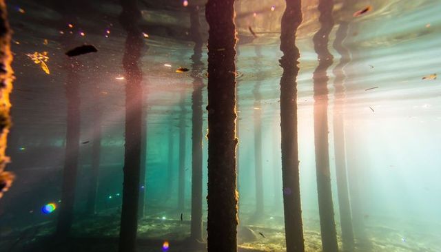 Sunbeams penetrating underwater pier pilings covered in algae and barnacles