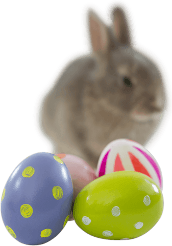 transparent easter eggs with bunny cutout design - Download Free Stock Videos Pikwizard.com