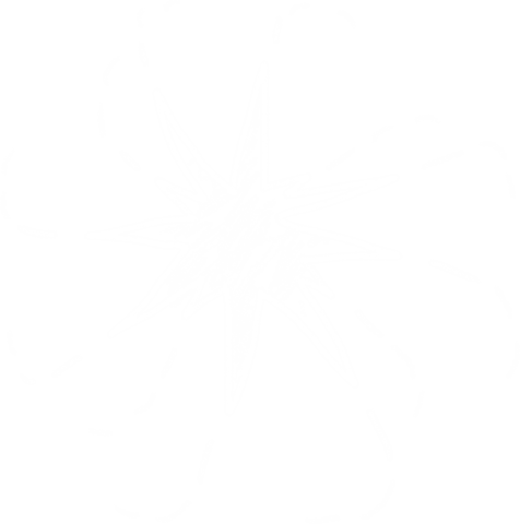 Meteor Starburst On Transparent Background For Design