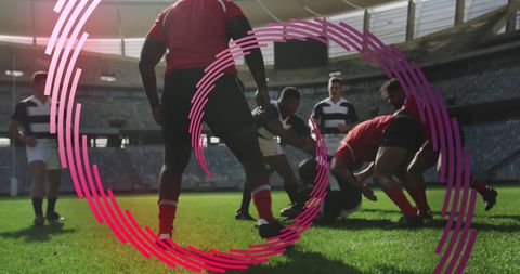 Rugby Athletes Competing in Intense Stadium Match - Download Free Stock Images Pikwizard.com