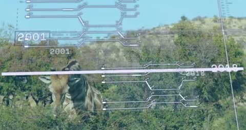Grazing Antelope in Savanna with Overlay of Digital Timeline Graphics