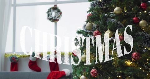 Cozy living room decorating christmas tree with twinkle lights and red gold ornaments