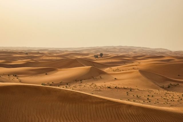 Expansive Desert Landscape with Rolling Sand Dunes - Download Free Stock Photos Pikwizard.com