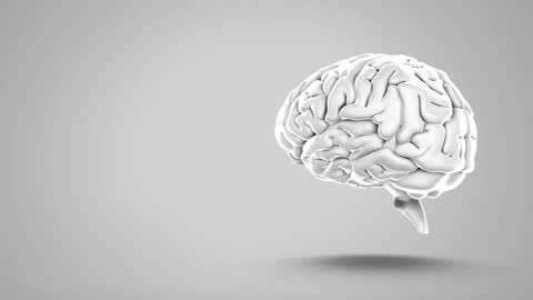Animation Depiction of Human Brain with Data Processing Elements