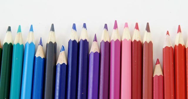 A vibrant array of colored pencils is arranged in a gradient, showcasing a spectrum from cool blues to warm reds, with copy space. Colored pencils like these are essential tools for artists, illustrators, and students to express creativity and illustrate ideas.