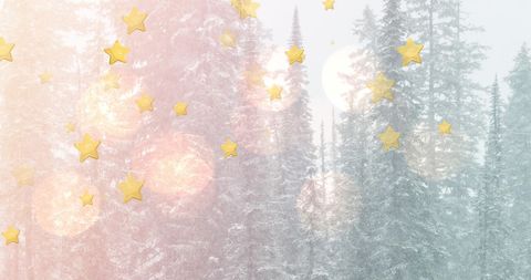 Golden Stars Falling in Wintry Forest Wonderland