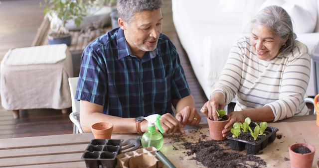 Happy diverse senior couple sitting at table and planting plants to pots on porch. Retirement, leisure, togetherness, gardening, plants and nature concept, unaltered.