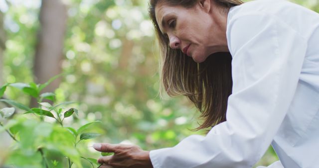 Female botanist examining plants in forest - Download Free Stock Images Pikwizard.com