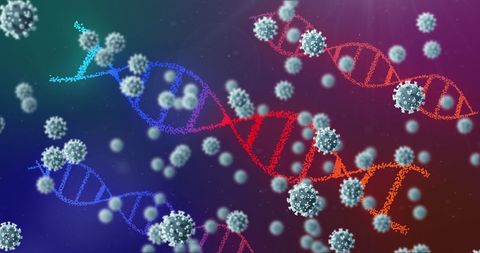 DNA Strands Amidst Coronavirus Cells Illustrating Mutation Concept