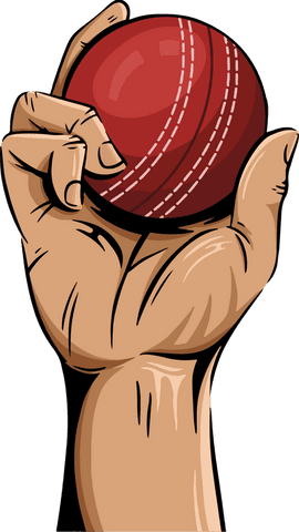 Hand Holding Red Cricket Ball Isolated on Transparent Background - Download Free Stock Videos Pikwizard.com