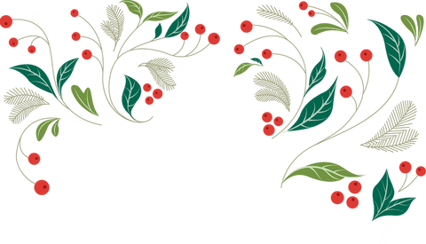 transparent botanical corner ornament with red and white berries - Download Free Stock Videos Pikwizard.com