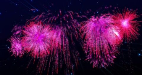 Magenta Fireworks Blooming Over Night Sky, Cascading Spark Trails, Festive Aerial Burst