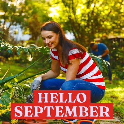 woman gardening in autumn with hello september message - Download Free Stock Templates Pikwizard.com