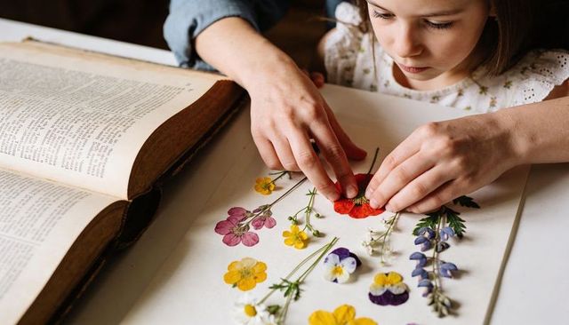 Young girl pressing wildflowers into herbarium book, adult guiding craft and learning