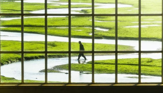 Silhouette crossing tidal marsh channels framed by multi-pane window grid at daylight