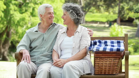 Senior Couple Enjoying Picnic in Serene Countryside Setting