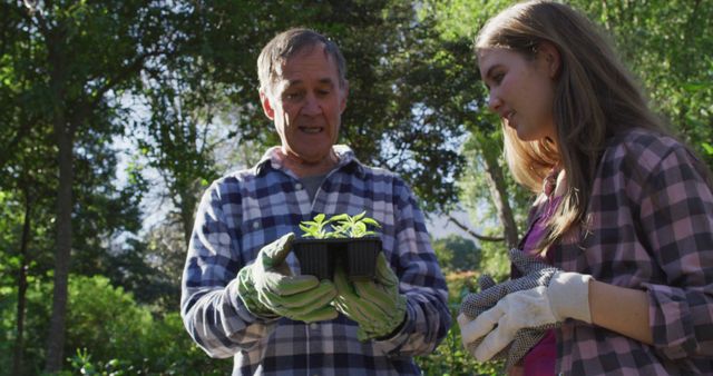 Senior man and young woman starting gardening with seedlings in park - Download Free Stock Images Pikwizard.com