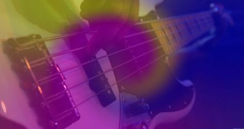 Vibrant Live Bass Guitar Performance with Atmospheric Lighting