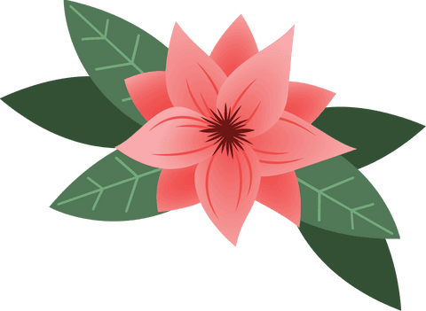Red flower with green leaves on transparent background