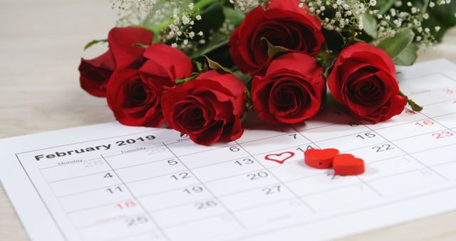 Featuring red roses placed on a February 2019 calendar with heart decorations indicating Valentine's Day, this image is perfect for promoting romantic gifts, Valentine's Day events, relationship counseling, or flower arrangements. Ideal for use in blogs, social media posts, advertisements, and greeting cards that highlight love and romance.