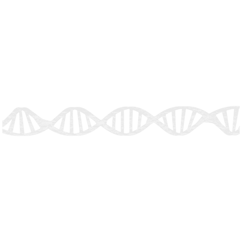 Transparent White DNA Strand for Science & Education - Download Free Stock Videos Pikwizard.com