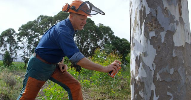 Male Arborist Marking Tree for Conservation Work - Download Free Stock Images Pikwizard.com