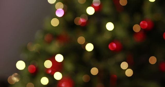 Blinking lights on christmas tree out of focus 