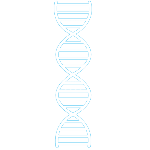 Blue DNA Strand Vector on Transparent Background - Download Free Stock Videos Pikwizard.com