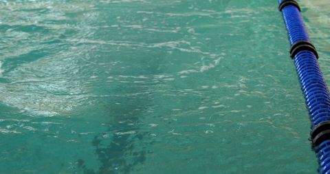 Athletic Man Swimming Underwater in Public Pool - Download Free Stock Images Pikwizard.com