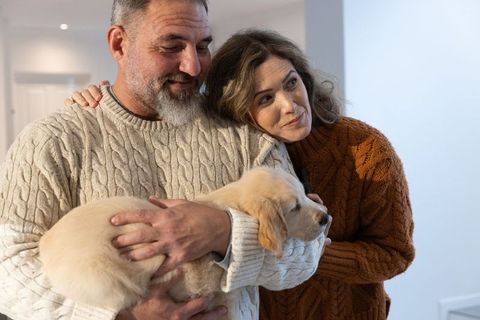 Couple holding golden retriever puppy and sharing cozy knit-sweater moment at home