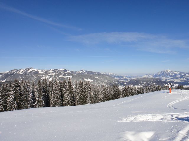 This image captures a serene winter landscape with snow-covered mountains and a forest under a clear blue sky. Ideal for illustrating winter holidays, outdoor adventures, or tranquil nature scenes. Perfect for brochures, travel magazines, or wallpaper backgrounds conveying a peaceful and frosty atmosphere.