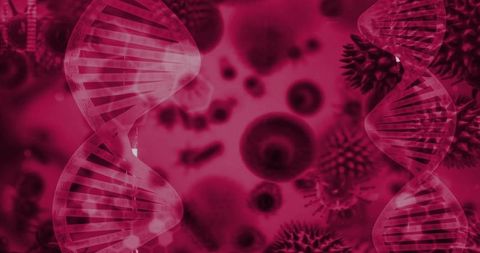 Magenta dna helix with blurred cells abstract medical background for genomics research