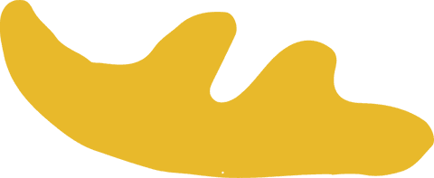 Abstract Yellow Wave Shape on Transparent Background for Modern Design - Download Free Stock Videos Pikwizard.com