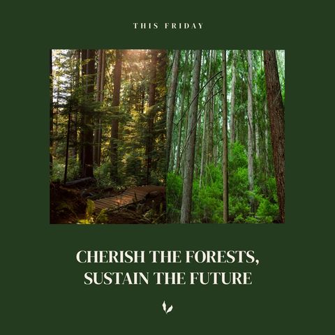 Forest Conservation Awareness Poster with Tree Trunks - Download Free Stock Templates Pikwizard.com