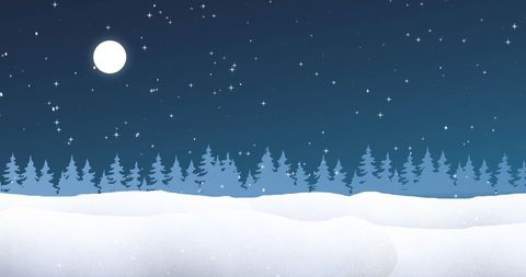 Serene Winter Night under Moonlit Snowy Sky