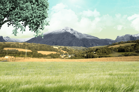 transparent illustration of mountain meadow and village landscape concept - Download Free Stock Videos Pikwizard.com